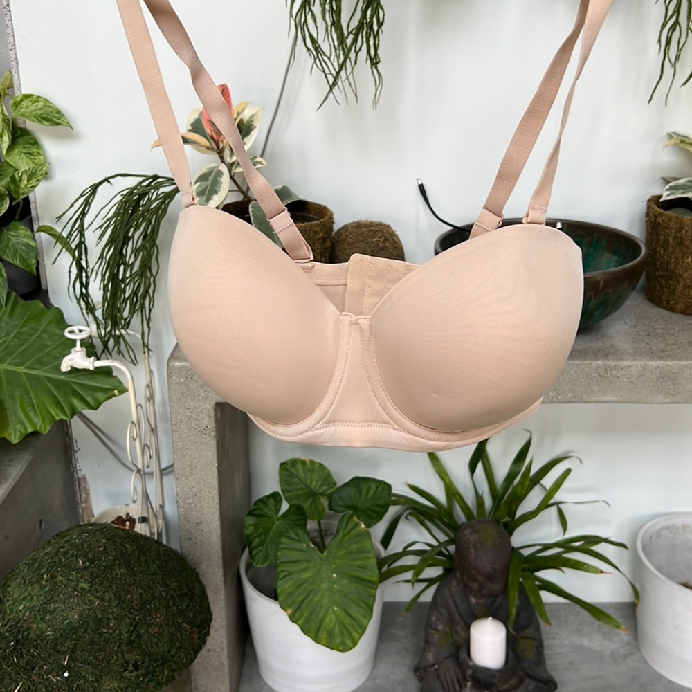 Wacoal strapless bra 34H